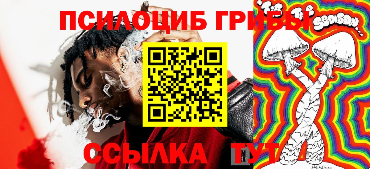 Карпинск  Галлюциногенные грибы Psilocybine cubensis  Вход с VPN 